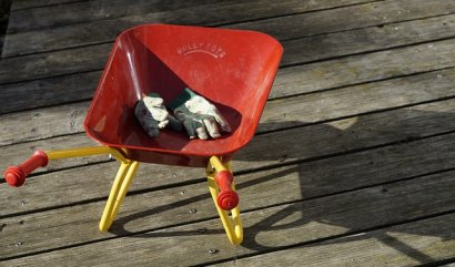 Sedm skvělých květin vhodných pro dětské zahradníky