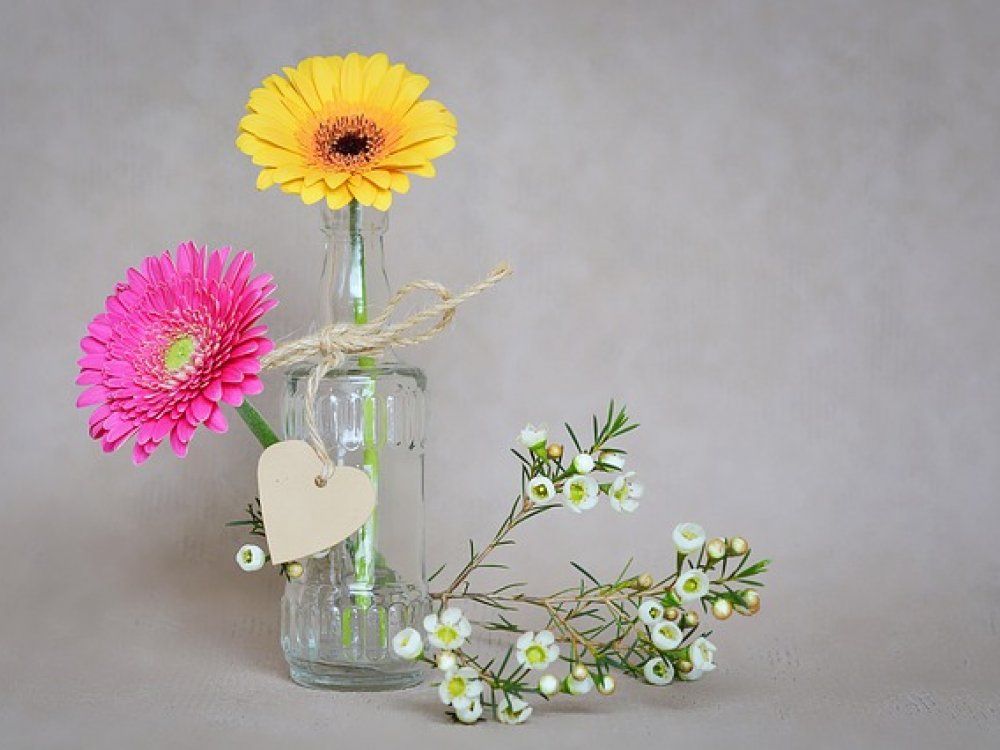 Jak vybrat ideální vázu pro vaši kytici