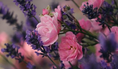 Ideální bylinky do květinových aranžmá