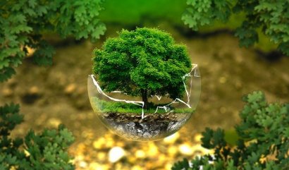 Jak se stát ekologičtějším floristou