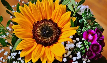 Květiny pro muže - jak vybrat tu správnou?