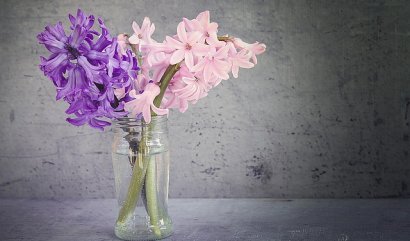 Nejlepší květiny pro oslavy a svatby