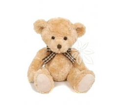 PLYŠOVÝ MEDVĚD
