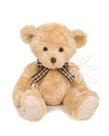PLYŠOVÝ MEDVĚD