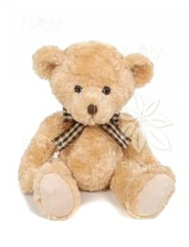 Teddy bear