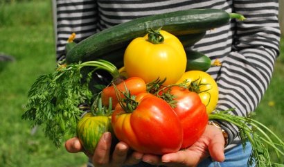 Letní sklizeň, co si užít v létě?