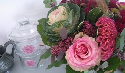 Deset plus jedna nejkrásnějších podzimních květin (2. díl)