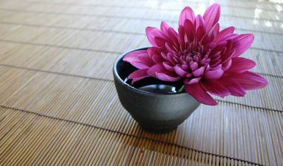 Narozeninové květiny pro měsíc listopad