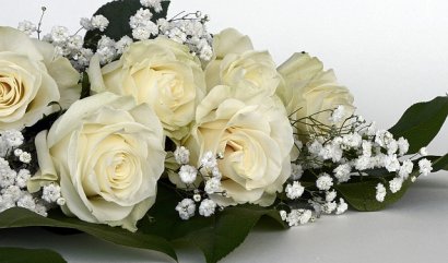 Kdy a za jaké příležitosti poslat kytici bílých růží?