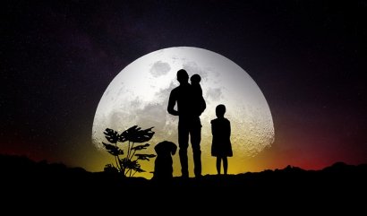 Biofilie - proč se cítíme být propojení s přírodou