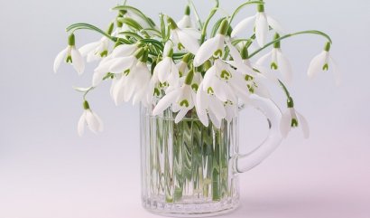 Narozeninové květiny pro měsíc leden