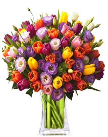 TULIPÁNY + EUSTOMA