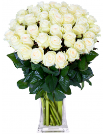 KYTICE BÍLÝCH RŮŽÍ