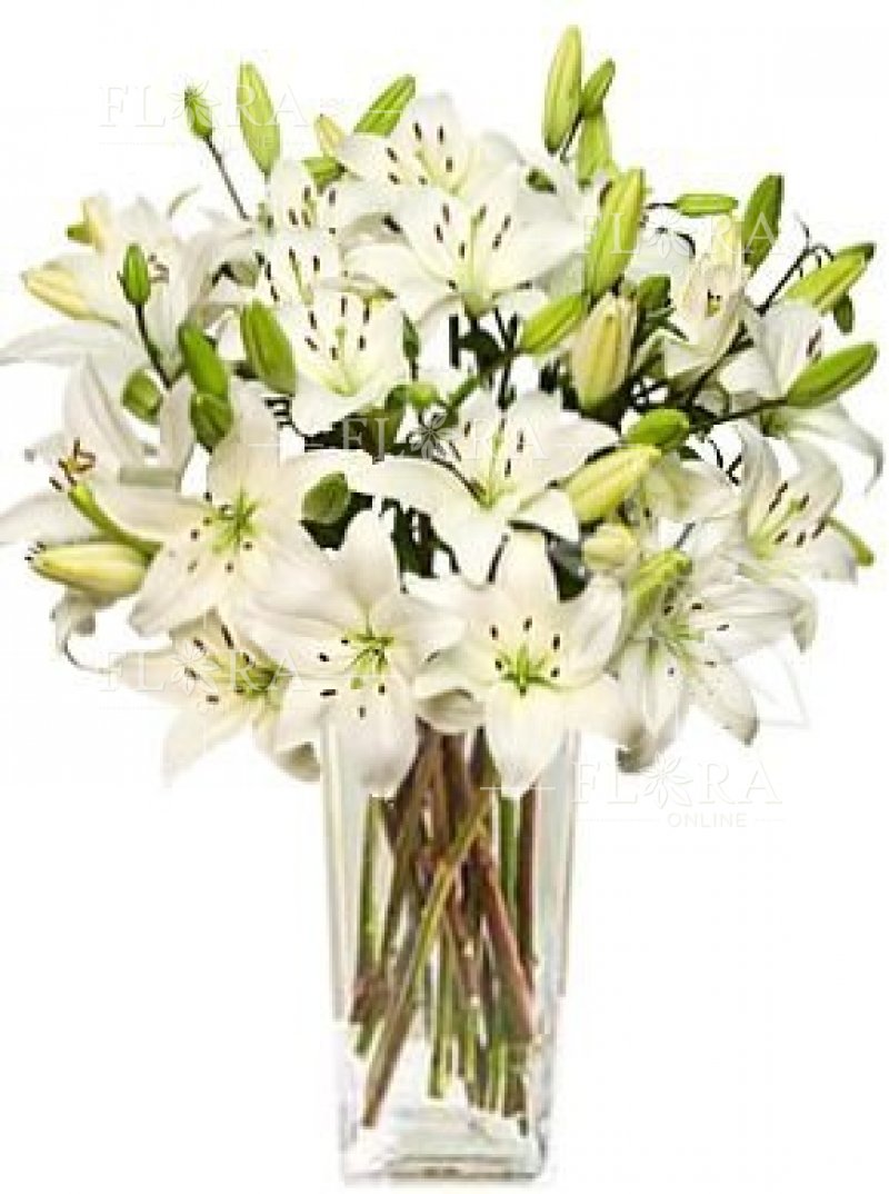 Květiny online - bílá kytice