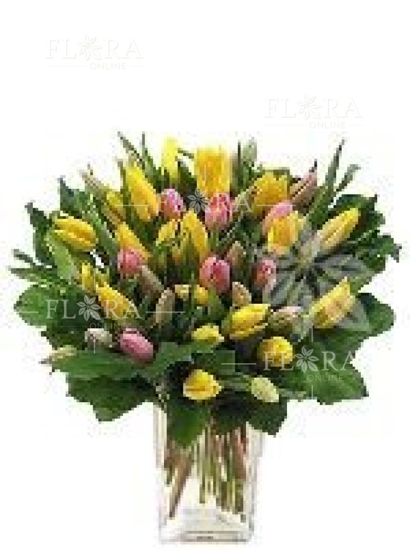 Donáška kvetov - farebné tulipány