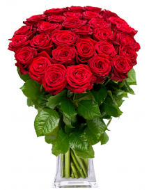 Букет из красных роз