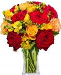 Roses + freesia: flower delivery