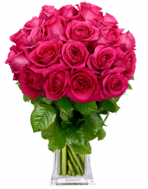 KYTICE RŮŽOVÝCH RŮŽÍ