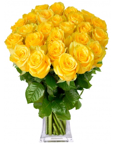 KYTICE ŽLUTÝCH RŮŽÍ