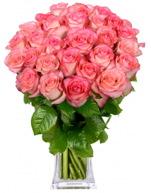 KYTICE ŽÍHANÝCH RŮŽÍ