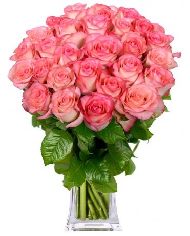 KYTICE ŽÍHANÝCH RŮŽÍ