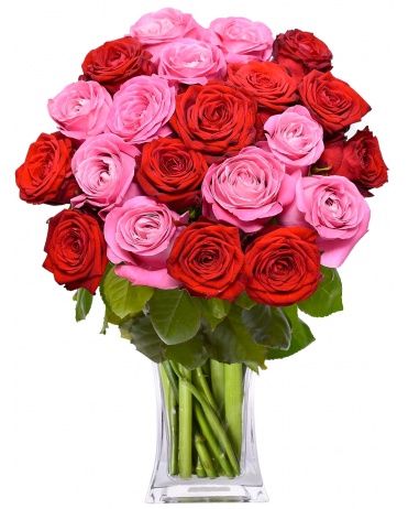 ČERVENÉ + RŮŽOVÉ RŮŽE Leticie