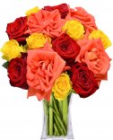 červenej, žltej a oranžovej ruže: rozvoz kvetín