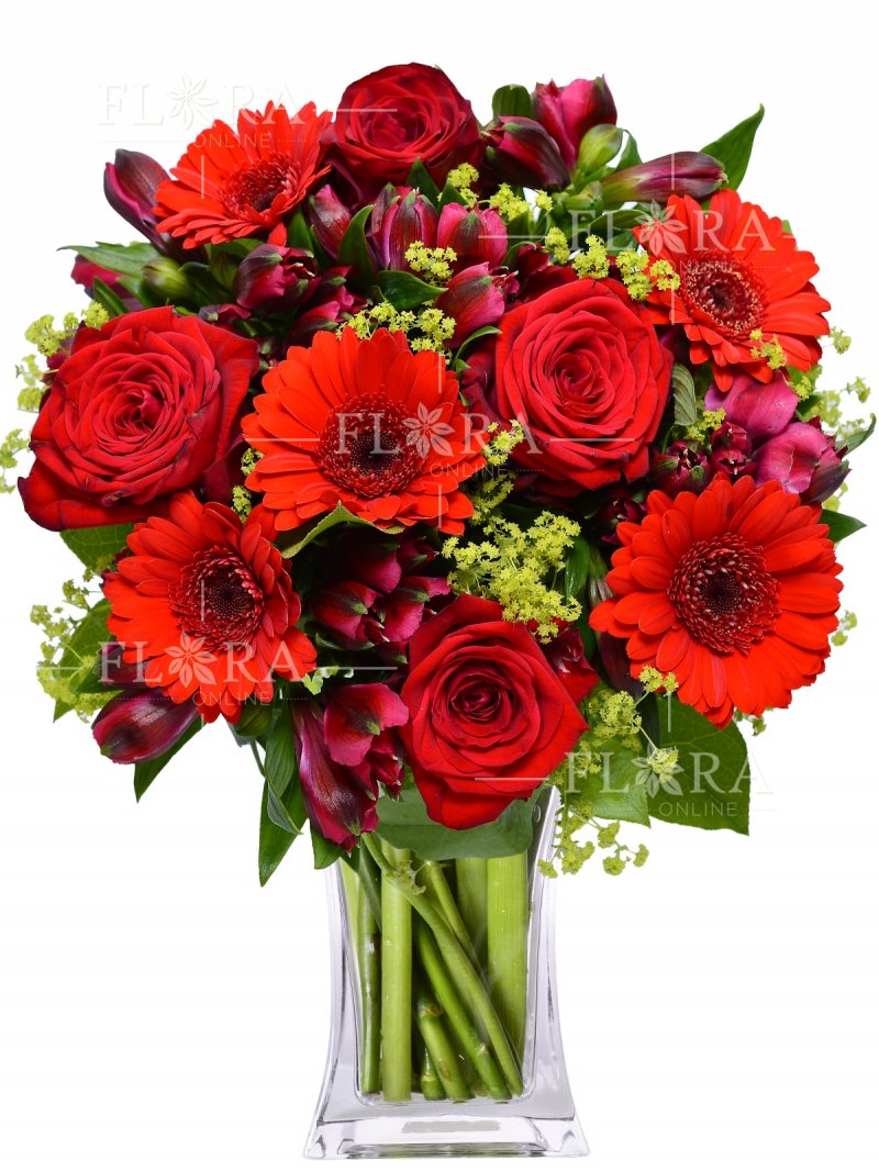 Ruža + Gerbery + Alstromeria: kvety online