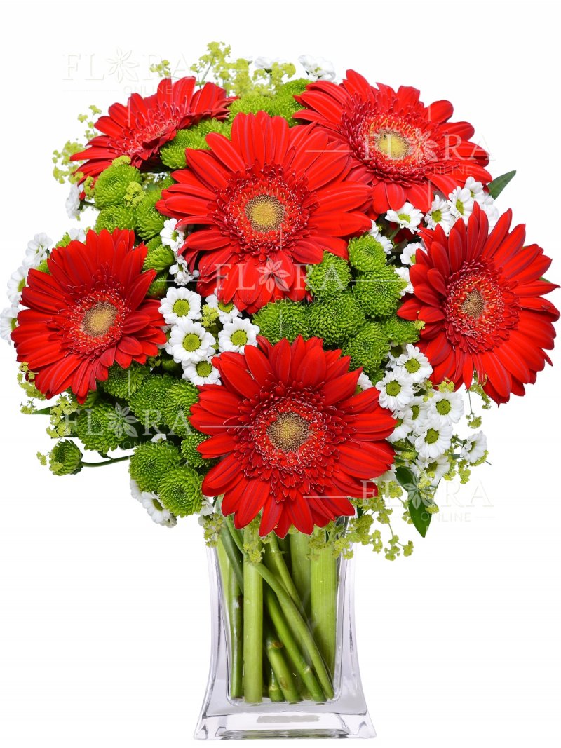 červené gerbery : květiny online