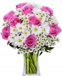 Růžovobílá kytice : květiny online