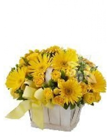 KVĚTINOVÝ KOŠ YELLOW