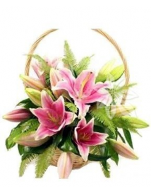 KVĚTINOVÝ KOŠ SOFIE