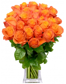 KYTICE ORANŽOVÝCH RŮŽÍ