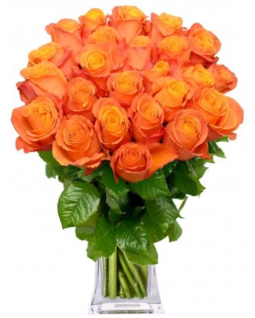 KYTICE ORANŽOVÝCH RŮŽÍ