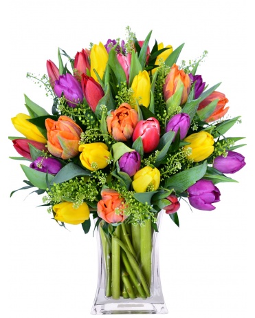 SVĚŽÍ KYTICE TULIPÁNŮ