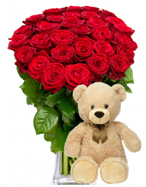 RUDÉ RŮŽE + PLYŠÁK