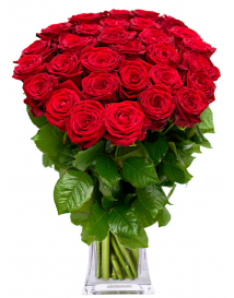 75 красных роз