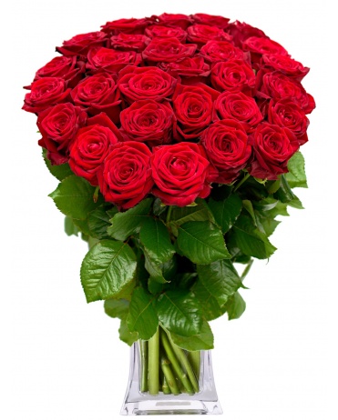 75 RED ROSES