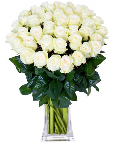 25 WHITE ROSES