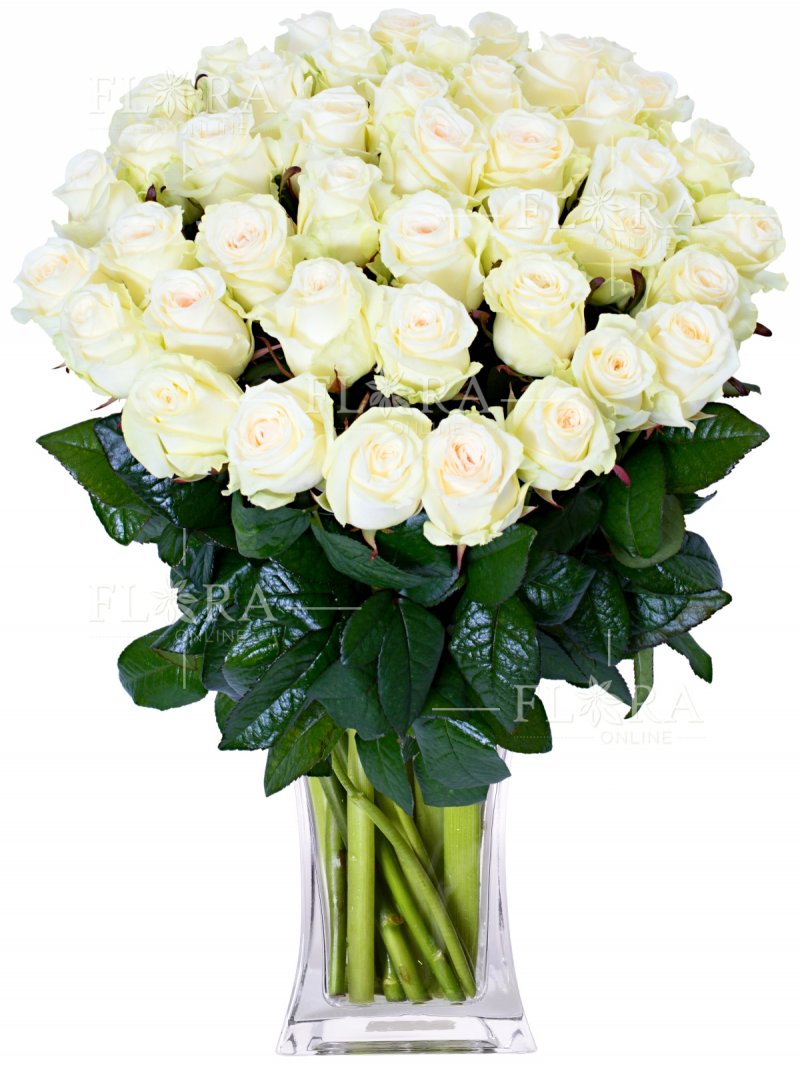 50 bílých růží : rozvoz květin